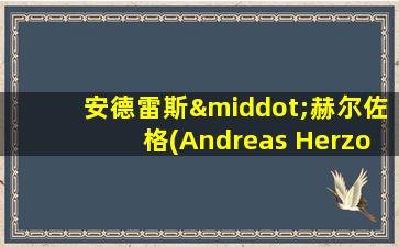 安德雷斯·赫尔佐格(Andreas Herzog)